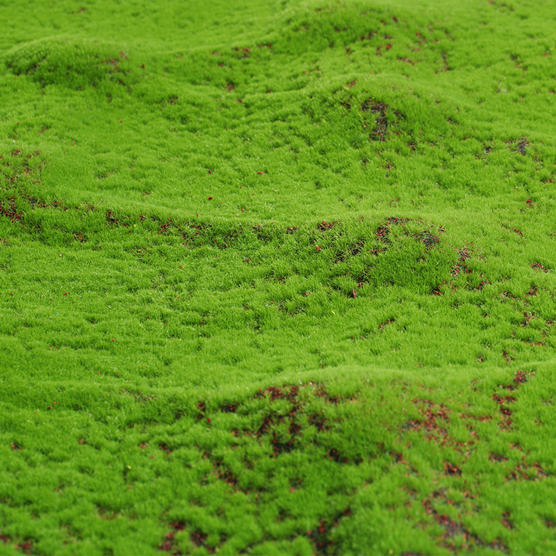 Artificial Moss Fake Green Mos - Terrarium Moss Art avis et prix