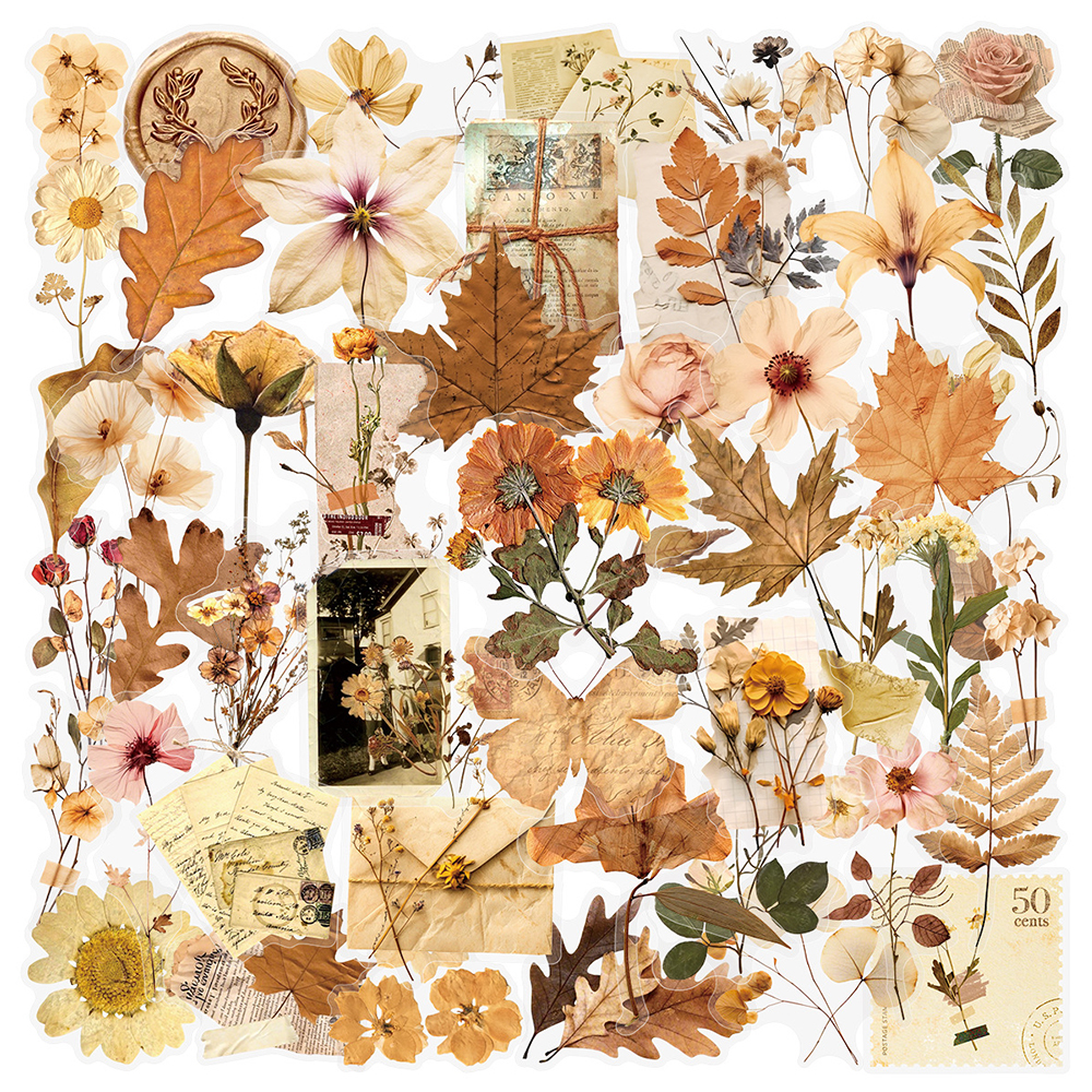10/30/50pcs Transparent Dried  - Dried Flower Bulk avis et prix