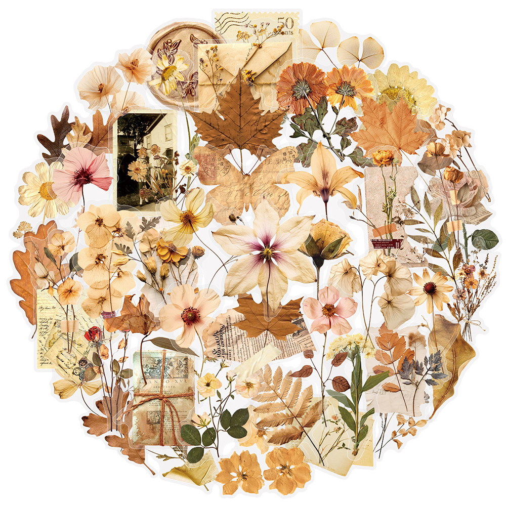 10/30/50pcs Transparent Dried  - Dried Flower Bulk avis et prix