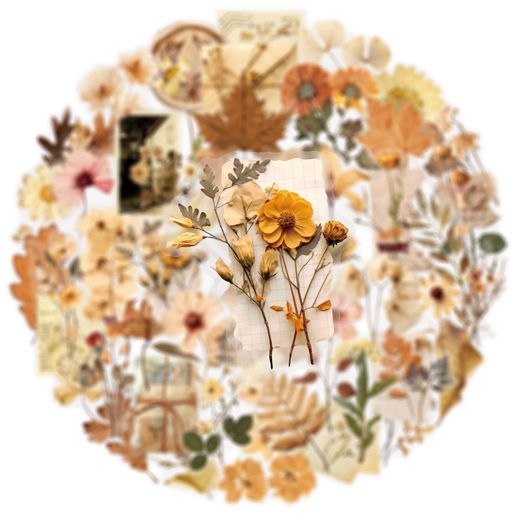 10/30/50pcs Transparent Dried  - Dried Flower Bulk avis et prix
