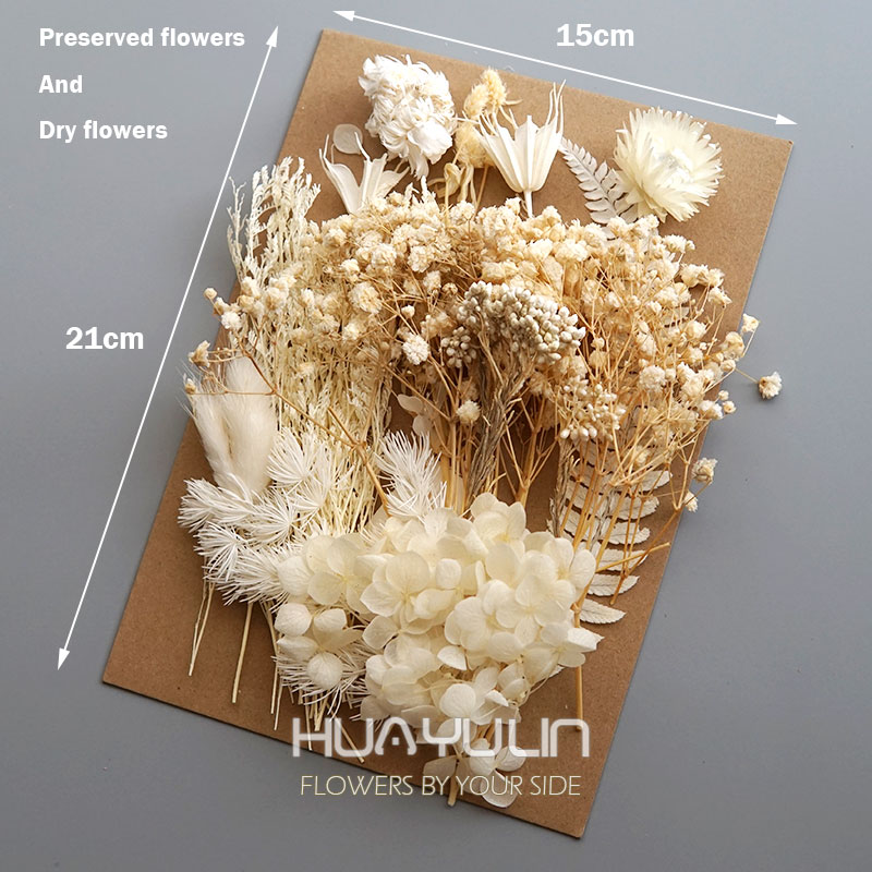 1 Pack Artificial Plants Dried - Dried Flower Bulk avis et prix