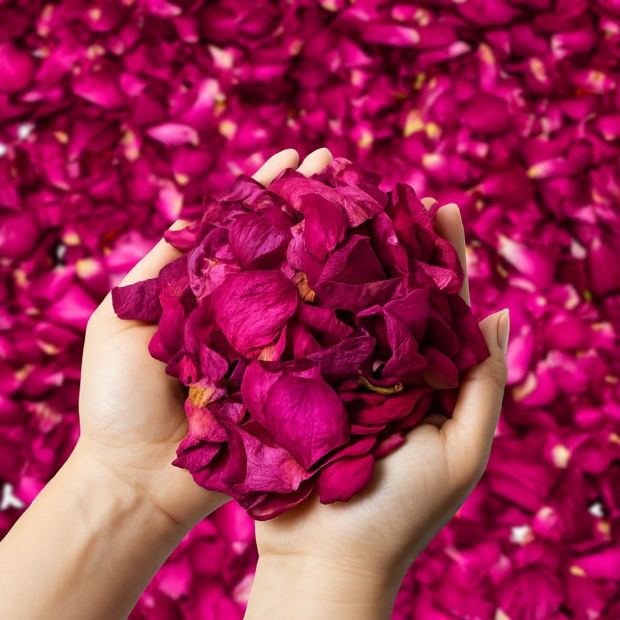 Dried Rose Petals Bulk 5oz Nat - Dried Flower Bulk avis et prix