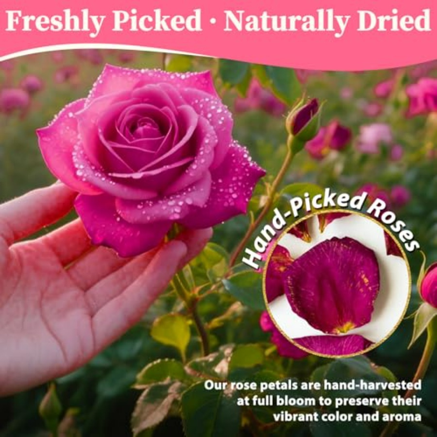 Dried Rose Petals Bulk 5oz Nat - Dried Flower Bulk avis et prix